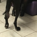 IMG_1335